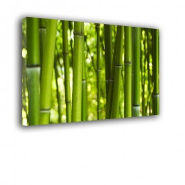 Bambusy obraz na ścianę nr 2218
