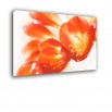Czerwone lilie - obraz nowoczesny kwiaty nr 2273