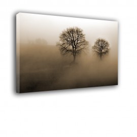 Mgła na polu - obraz na ścianę nr 2284