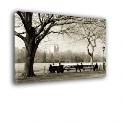 Krajobraz Central Park - obraz na płótnie nr 2289