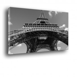 Wieża Eiffla - obraz czarno biały nr 2022