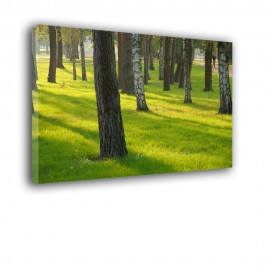 Drzewa na trawie - obraz na płótnie nr 2318