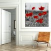 Czarno biała łąka maków z czerwonymi płatkami - obraz na ścianę nr 2321