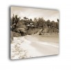 Tropikalna sepia - obraz nowoczesny krajobraz nr 2347