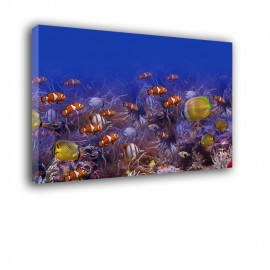 Ryby morskie tropikalne - obraz na płótnie nr 2348