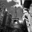 Paryż czarno biały  - obraz na ścianę nr 2354