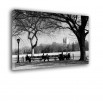 Czarno biały Central Park - obraz na płótnie nr 2381