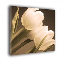 Trzy tulipany - obraz na płótnie nr 2387
