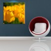 Kwadratowe tulipany - obraz nowoczesny kwiaty nr 2396