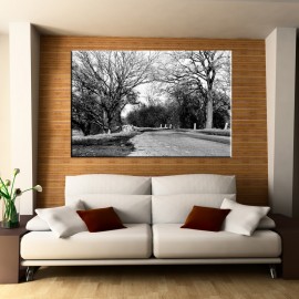 Czarno biała stara droga - obraz na ścianę nr 2421