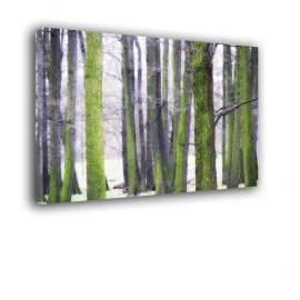Pnie drzew - obraz nowoczesny nr 2423