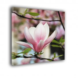 Magnolia na gałązce - obraz nowoczesny kwiaty nr 2451