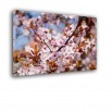 Wiśnia wiosną - obraz nowoczesny kwiaty nr 2461