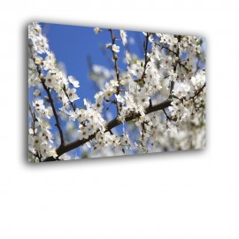 Jabłoń - obraz nowoczesny kwiaty nr 2468