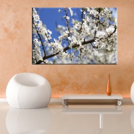 Jabłoń - obraz nowoczesny kwiaty nr 2468