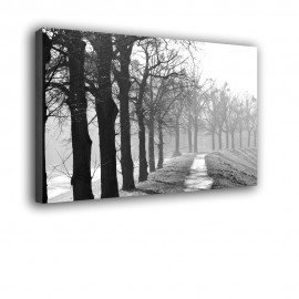 Drzewa we mgle - obraz na ścianę nr 2501