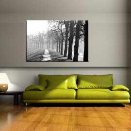 Drzewa we mgle - obraz na ścianę nr 2501