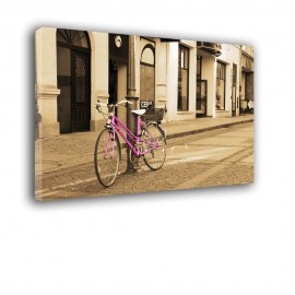 Różowy rower - obraz nowoczesny nr 2526