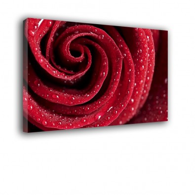 Czerwona róża - obraz nowoczesny kwiaty nr 2061