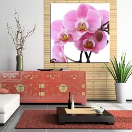 Różowa orchidea - obraz na ścianę do salonu nr 2042