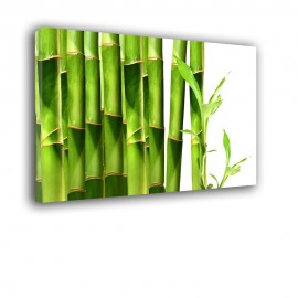 Zielone bambusy - obraz na ścianę do łazienki nr 2085