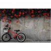 Czerwony rower - obraz na płótnie nr 2109