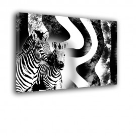 Zebra - obraz na ścianę nr 2152