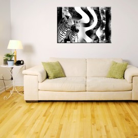 Zebra - obraz na ścianę nr 2152