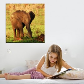 Mały słoń - obraz na ścianę nr 2157