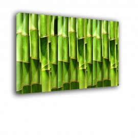 Pędy bambusa - obraz na ścianę do kuchni nr 2159