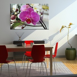 Stroczyk - obraz nowoczesny - kwiaty nr 2173