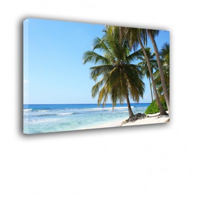 Tropikalna plaża - obraz na ścianę nr 2176
